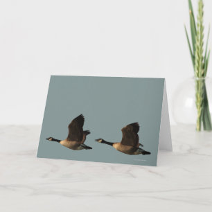Blank Customizable Flying Geese Card