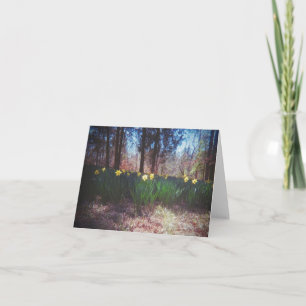 Blank Daffodil Field Blank Landscape Card