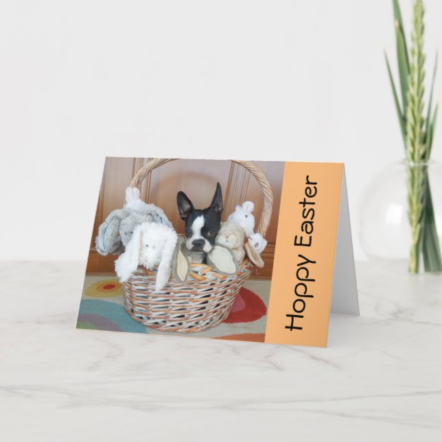 Blank Easter Card - Lola B. Boston (Front)