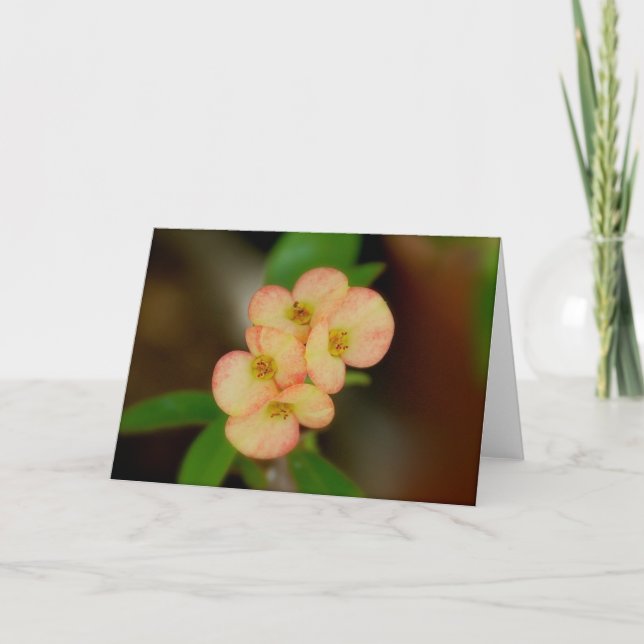 Blank Floral Card (Front)