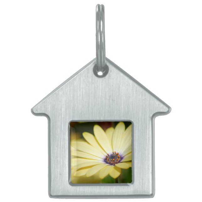 Blank Floral Pet Tag (Front)