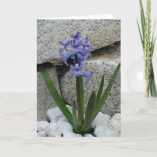 Blank Flower Card