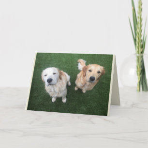 Blank Golden Retriever Greeting Card