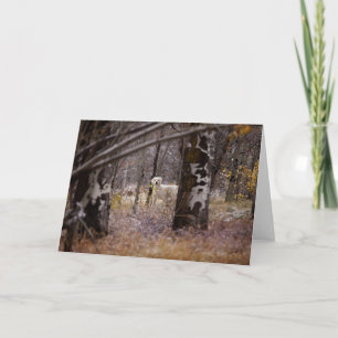 Blank Golden Retriever Photo Card