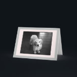 Blank Golden Retriever Puppy Greeting Card<br><div class="desc">Arnie as a puppy for the camera.  I hope he can brighten your day.</div>