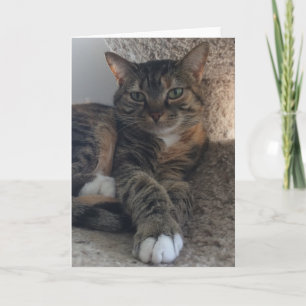 Blank Greeting Card