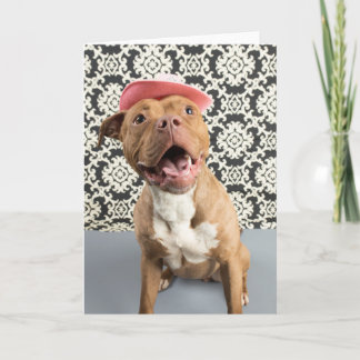 Blank greeting card
