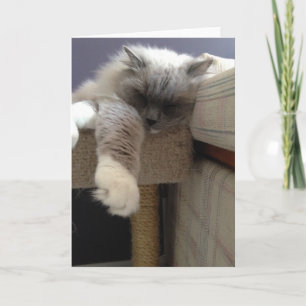 Blank Greeting Card