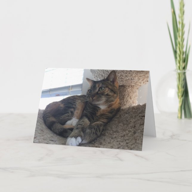 Blank Greeting Card (Front)