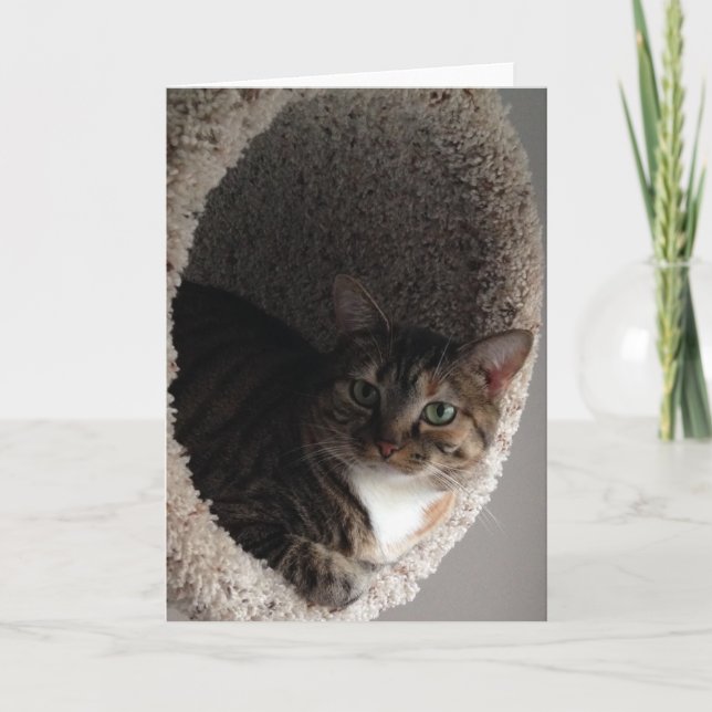 Blank Greeting Card (Front)