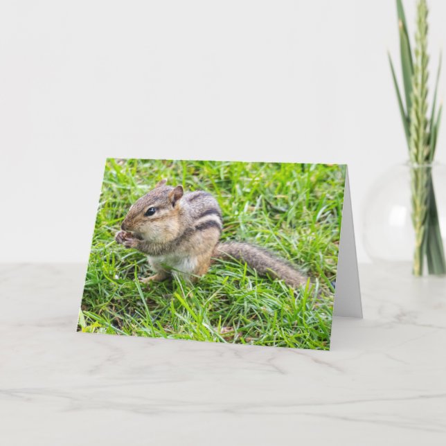 Blank Greeting card Chipmunk (Front)