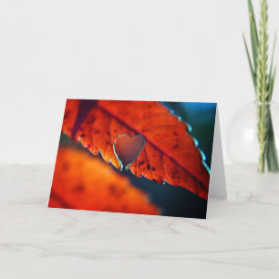 Blank Greeting Card - Fall Foliage