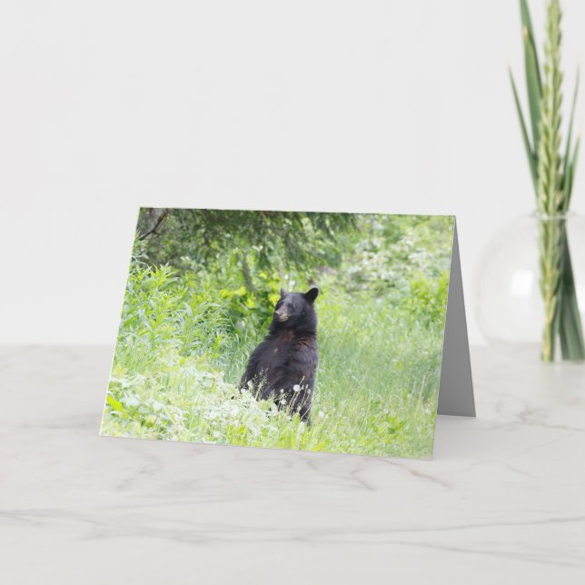 Blank greeting card featuring Black bear (Front)
