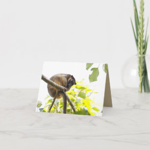 Blank Greeting card featuring Tree Kangaroo