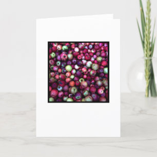 Blank greeting card, photo on front card