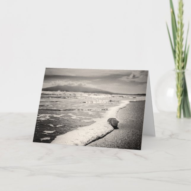 Blank Greeting card - sea shell on beach (Front)