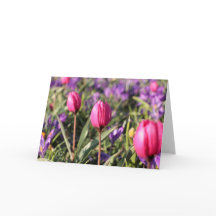 Blank Greeting Card: Spring flowers