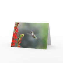 Blank greeting card to brighten someone's day