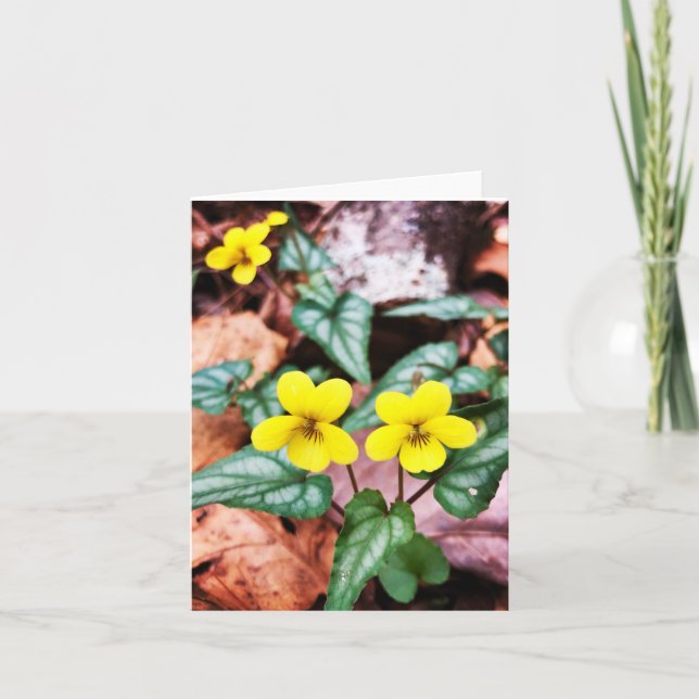 Blank greeting card with nature theme (Front)