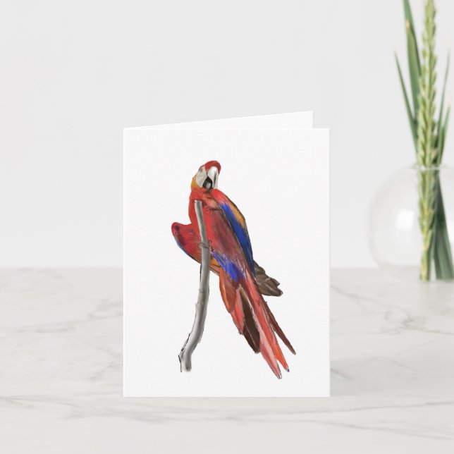 Blank greeting card with Scarlet Macaw design (Front)