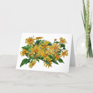 Blank Greeting Card Yellow Daisies