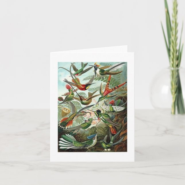 Blank Haeckel Nature Study Card (Front)