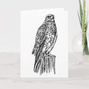 Blank Hawk Notecard