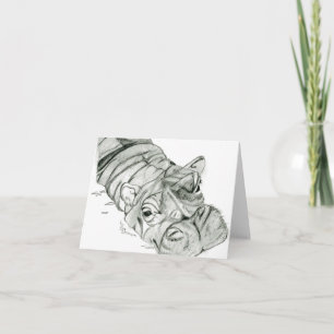 Blank Hippo notes