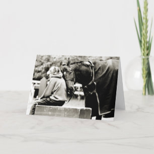 Blank Horse Greeting Card