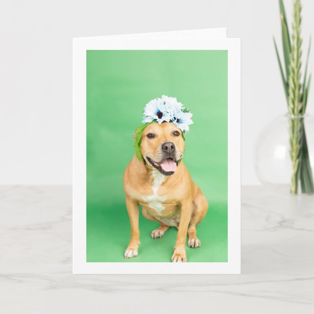 Blank inside card (Front)