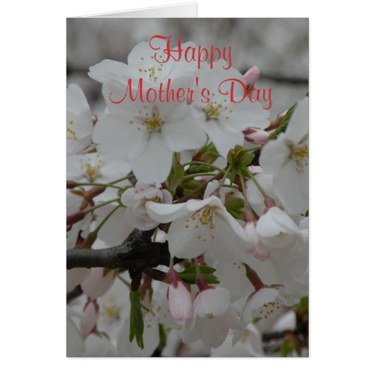 Blank Inside Happy Mother's Day Card