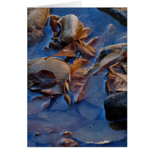 Blank Inside, Leaves