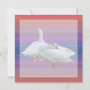 blank invitation,all purposes invitation