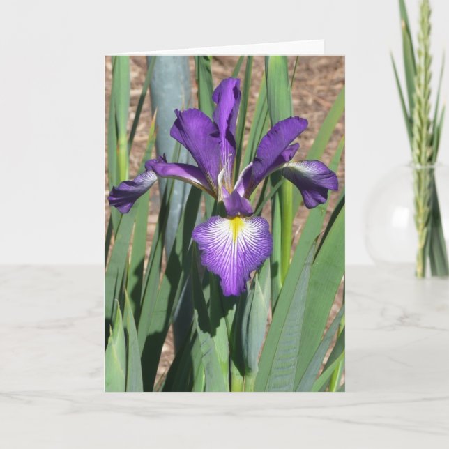 Blank Iris Card -"LINE DANCING" (Front)