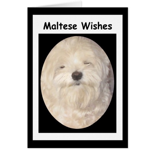 Blank Maltese Wishes on Black & White Card