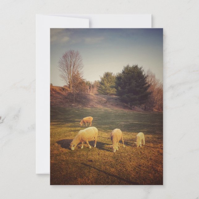 Blank Note Card (Front)