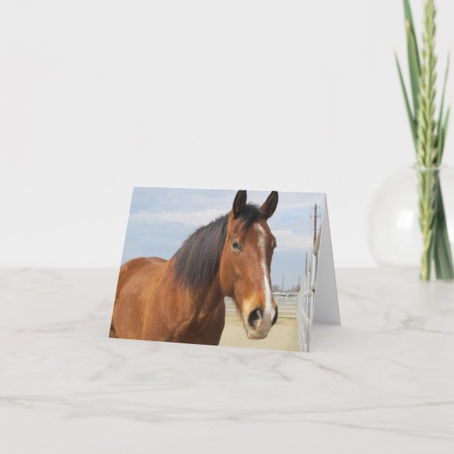Blank Note Card--Brown Horse Side Card (Front)