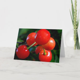 Blank Note Card: Cherries Card