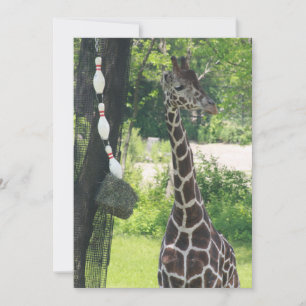 Blank Note Card - Customizable - Giraffe