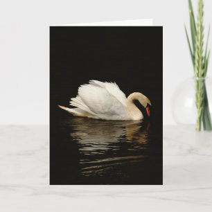 Blank Note Card with Beautiful Swan