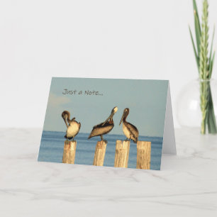 Blank Note Card with Brown Pelicans