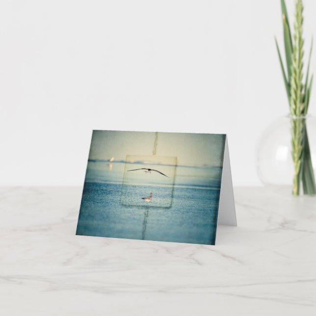 Blank Note Card with photo from a shore scene (Front)