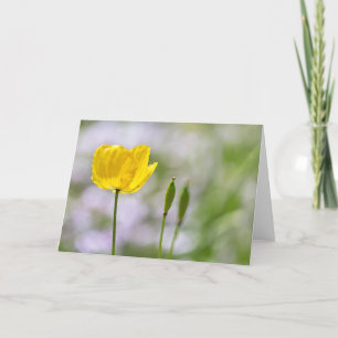Blank Note Card - Yellow Welsh Poppy