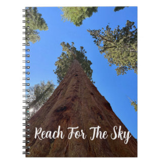 Blank notebook with Sequoias from Yosemite 
