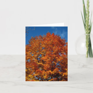 Blank_Orange Tree Top Fire Card