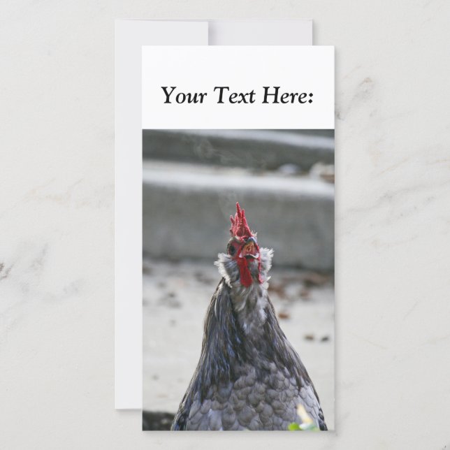 Blank Photo Card, Rooster (Front)