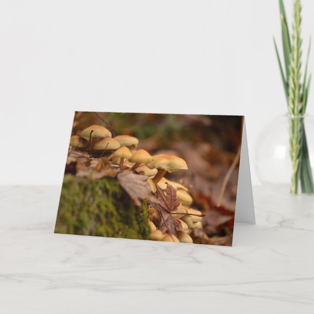 Blank Photo Greeting Card (Front)