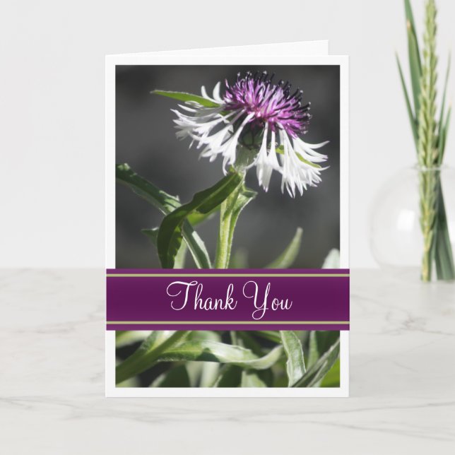 Blank Photo Greeting Cards (Front)