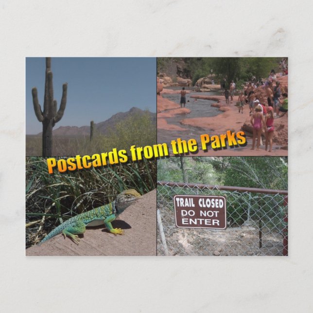 Blank Postcard (Front)