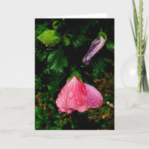 Blank-Raindrops Flowers Holiday Card